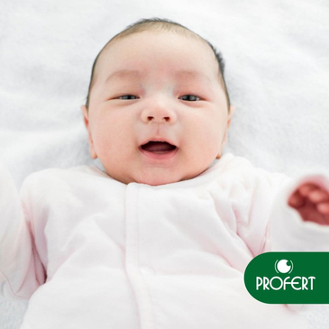 Slider image (8) PROFERT Santo Domingo